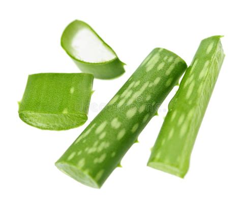 Aloe Vera Plant Pieces Stock Image Image Of Moisture 14585095