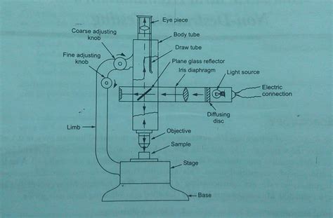 Optical Microscope Schematic Diagram Simple Light Microscope