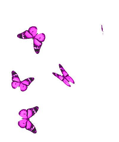 Borboletas Butterflies Sticker - Borboletas Butterflies Beautiful ...