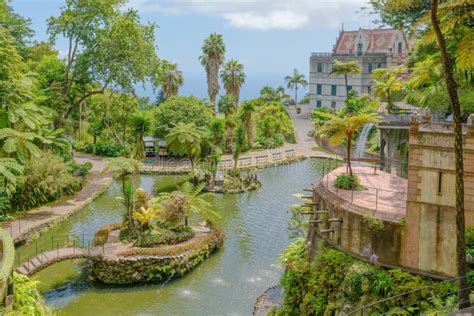 Botanical Garden Monte Funchal Madeira Island Stock Image Image Of