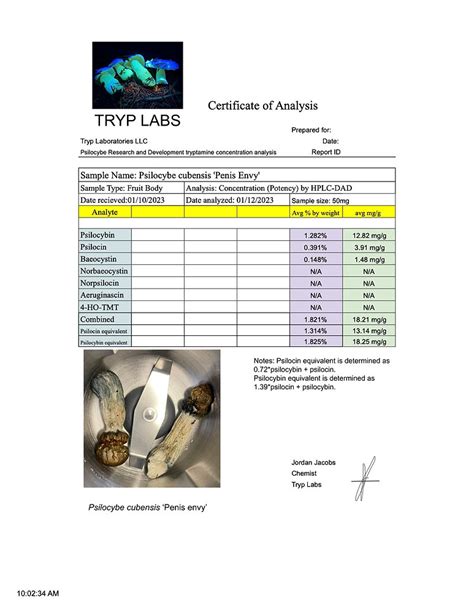 Coa Certificate Of Analysis