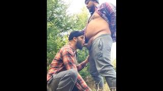 Lucas Hardwood S Gay Porn Videos Pornhub