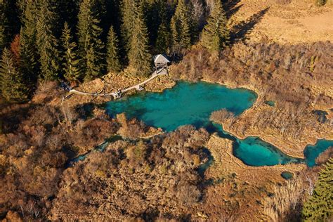 Visit And Explore The Zelenci Nature Reserve In Kranjska Gora, Slovenia