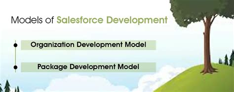 Everything About Salesforce Development Lifecycle