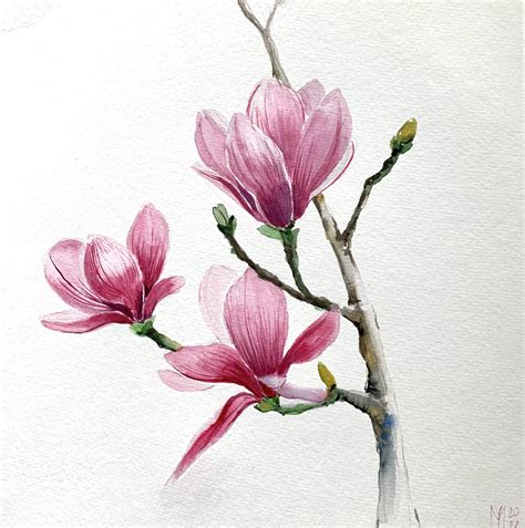 Magnolia Watercolor Painting