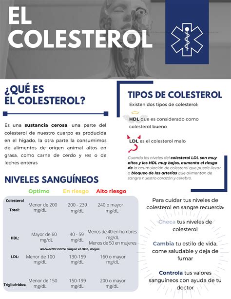 ¿qué Es El Colesterol Alimentación Y Salud