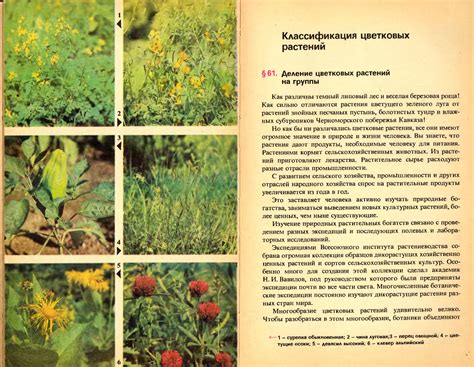 Ботаника 5-6 класс - Корчагина В.А.