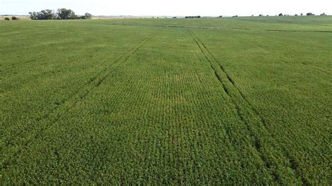 Hect Reas Agr Colas Sobre Ripio Con Mejoras En Gualeguay Agroads