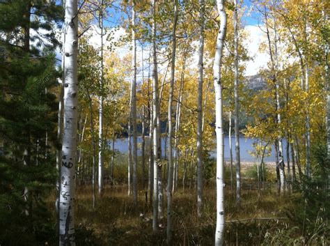 Pin by Brad Enman on Moon Lake, Utah | Lake, Utah, Places to go