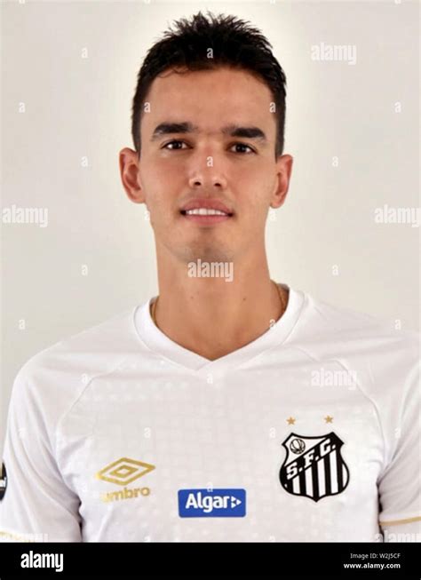 Brazilian Football League Serie A Brasileirao Assai 2019 Santos