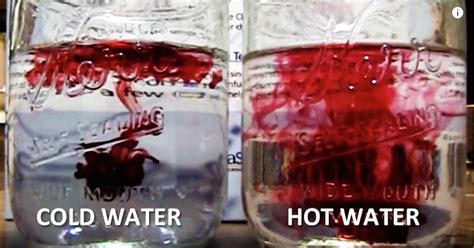 Cold Water Vs Warm Water One Of Them Is Damaging To Your Health Non