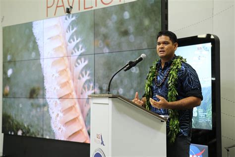 Bunnii Ran Into The Ocean Witness Its Shocking Second Act news