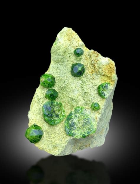 Mossagate Images - Free Download on Freepik