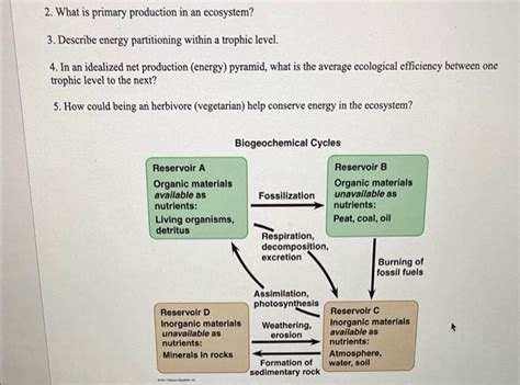 Solved 2. What is primary production in an ecosystem? 3. | Chegg.com