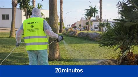 Puebla Del R O Intensifica Tratamientos Contra El Virus Del Nilo Ante