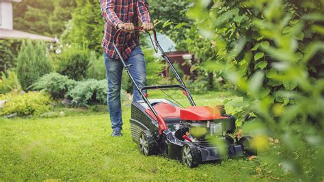 Best Lawn Mowers For A Small Yard Top Ten Reviews