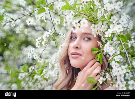 Beautiful Blonde Woman Near Cherry Blossoms Close Up Portrait Stock Photo Alamy