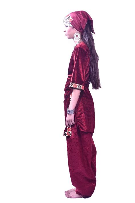 Maroon Kashmiri Dance Costumes, Size: Small at Rs 500 in New Delhi | ID ...