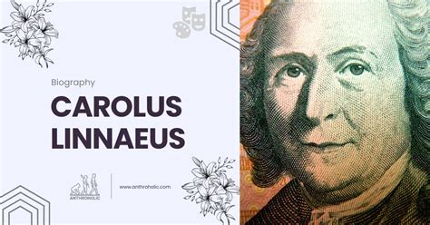 Carolus Linnaeus Biography Anthroholic