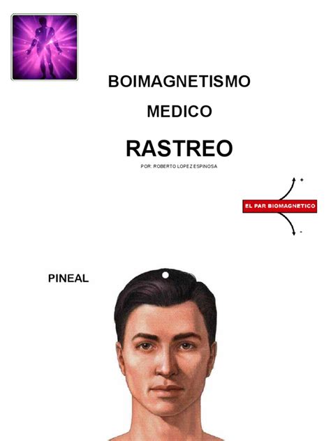 Pdf Biomagnetismo Medico Puntos De Rastreo Basico Goiz Dokumen Tips