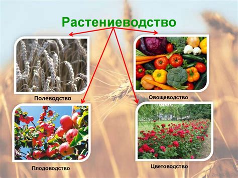 rastenievodstvo  altayskom krae prezentatsiya onlayn