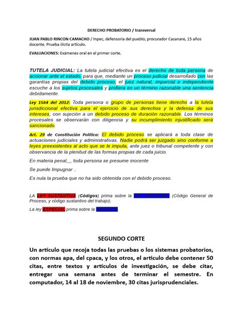 Derecho Probatorio Pdf Debido Al Proceso Evidencia Ley