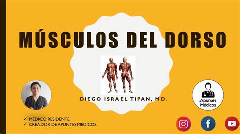 Músculos del Dorso Niurka Jiménez uDocz