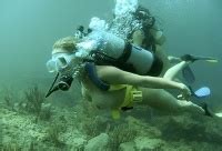 Nude Scuba And Skin Diving Page Vintage Erotica Forums