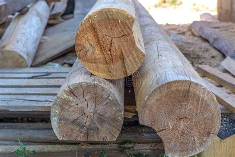 Round Wooden Logs Lying On The Ground Logs In The Construction Stock