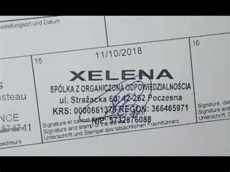XELENA ЛУЧШАЯ КОМПАНИЯ В МИРЕ - YouTube