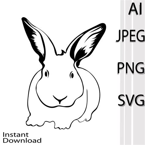 Rabbit Svg Designs Bundle Masterbundles