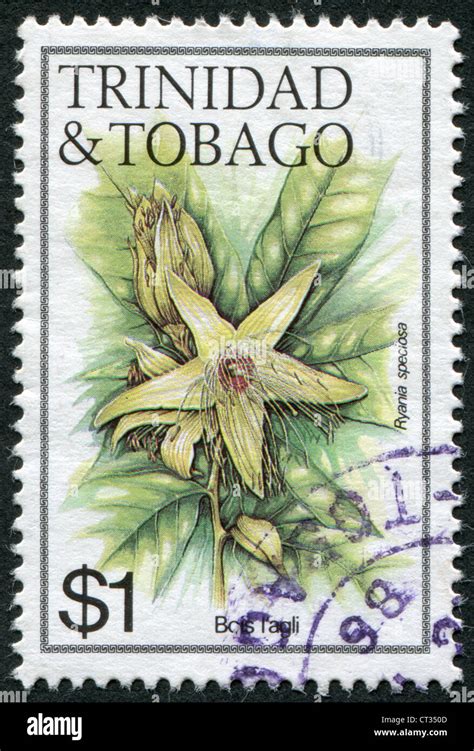 TRINIDAD TOBAGO CIRCA 1983 Postage Stamps Printed In Trinidad