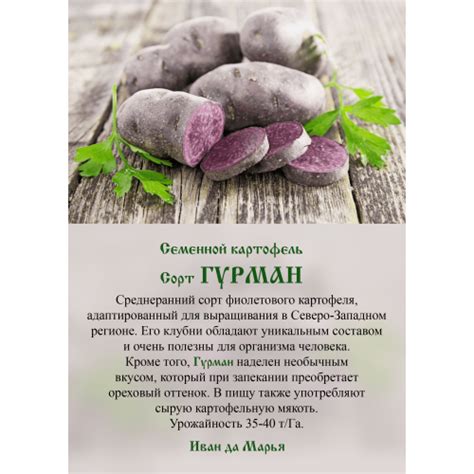 Картофель Гурман Россия в Санкт-Петербурге