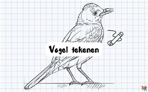 Vogel Tekenen Makkelijk Kleurplaten Wk Kleurplaten Wk