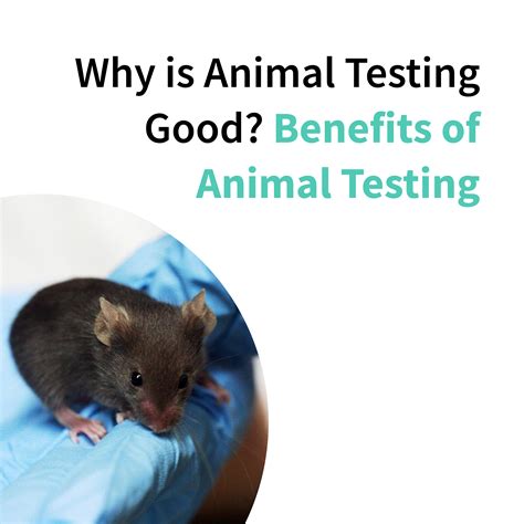 why is animal testing bad 2
