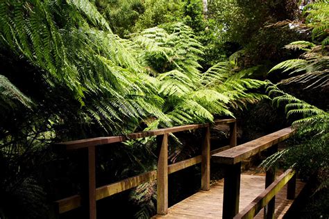 Australian National Botanic Gardens