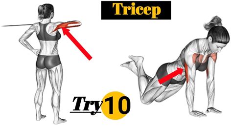 10 Best Triceps Exercise For Female No Gym Triceps Exercise