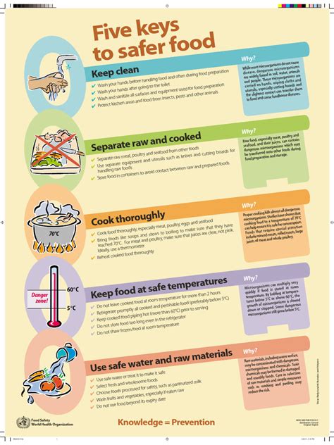 Five Keys To Safer Food Pdf Food Industry Food And Drink Preparation