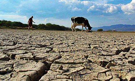 ¿qué Regiones Del País Son Las Más Afectadas Por Las Sequías Centro