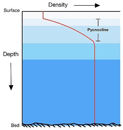 Pycnocline - Wikiwand