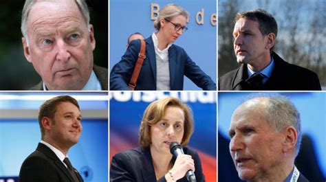 Meet the AfD: Germany's right-wing, nationalist party