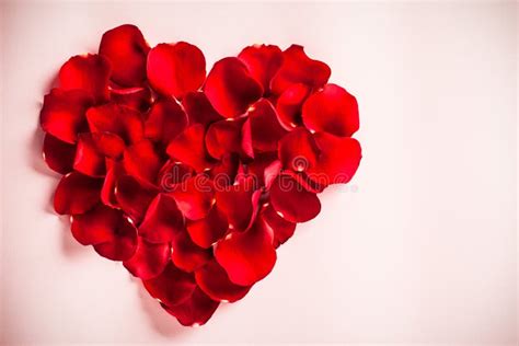 Rose Petal Sex Stock Image Image Of Love Horizontal