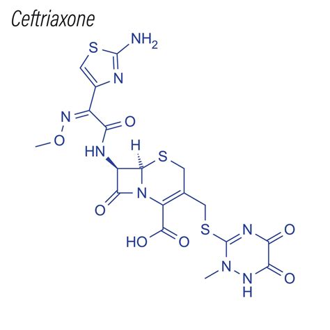 Rams De Ceftriaxona 3