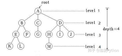 Python超全干货：【二叉树】基础知识大全 知乎