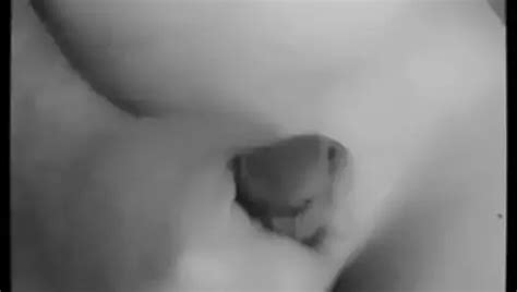 Trap Trans Porn Videos Shemale Sex Xhamster