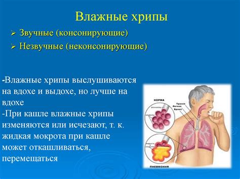 Аускультация легких. Побочные дыхательные шумы. Бронхофония. Легочные ...