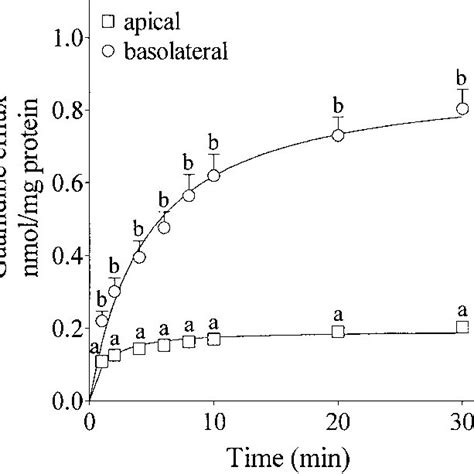 Effect Of Membrane Electrical Potential On Apical And Basolateral Download Scientific Diagram