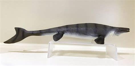 CollectA 88975 Mosasaurus - 1:40 scale - Toy Animal Wiki