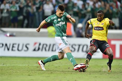 S Susto Mois S Sai Mancando Do Jogo Do Palmeiras Mas Exame Mostra