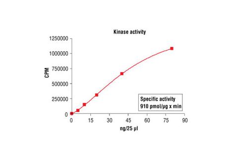 Htscan® Pkcε Kinase Assay Kit Cell Signaling Technology